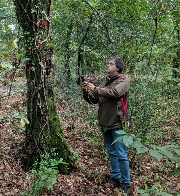 Docente do IPV participa em estudo global para descobrir quantas espécies de árvores existem na Terra