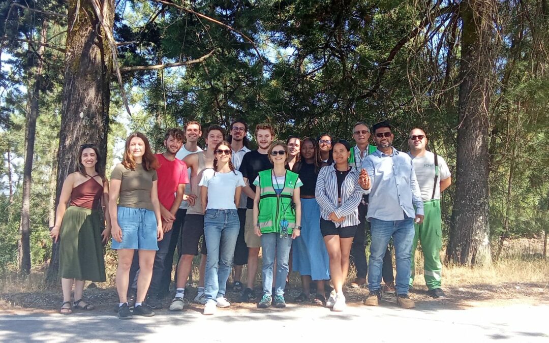 Primeiro Volunteering Camp da EUNICE une estudantes em Viseu pela sustentabilidade ambiental