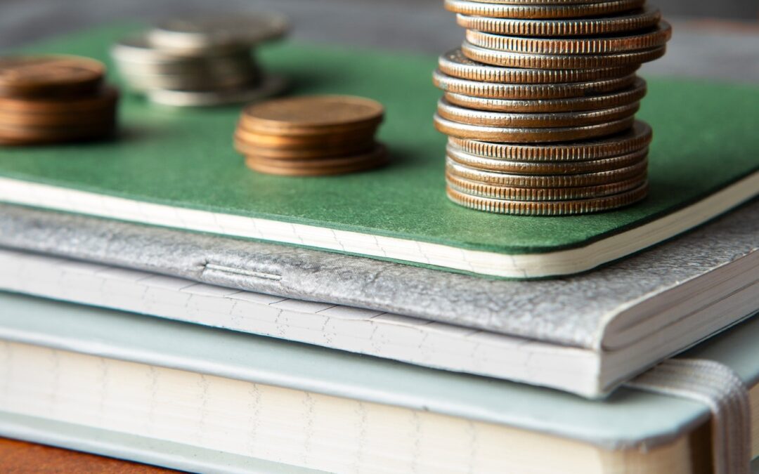 Estudo do IPV: Literacia Financeira Aprende-se Melhor com Professores do que com Apps