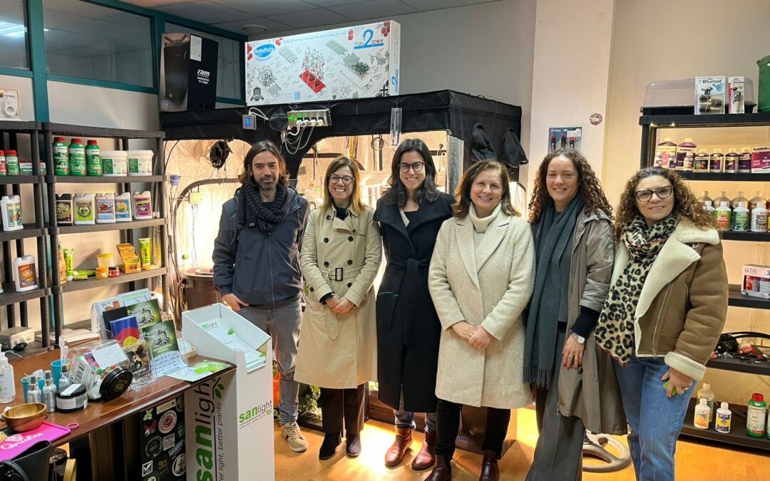 Visita à Open Grow