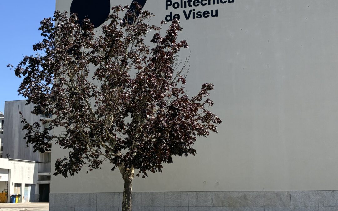 Instituto Politécnico de Viseu passou a Universidade Politécnica de Viseu a partir de 1 de agosto
